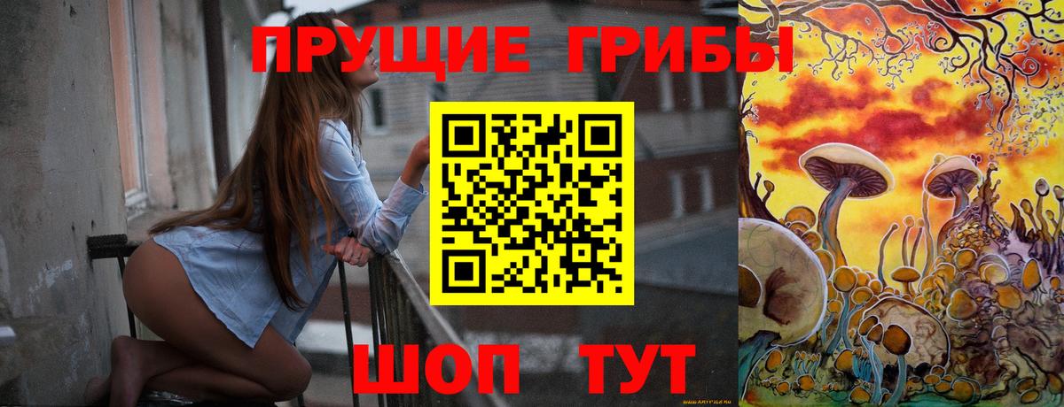 где купить наркотик  Галлюциногенные грибы мицелий  Галлюциногенные грибы Magic Shrooms  Вход с VPN  Обнинск 